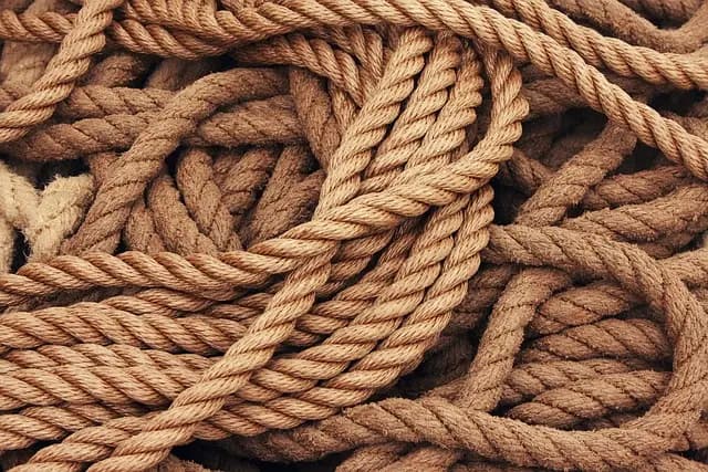 L'importance du développement durable dans les télécommunications